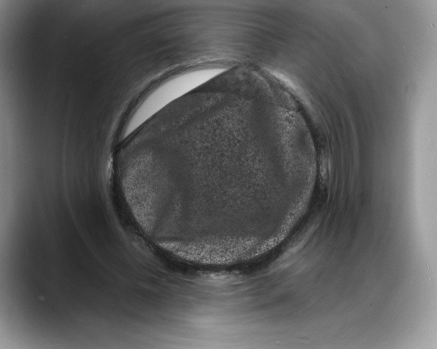 X0000088030540200706081503