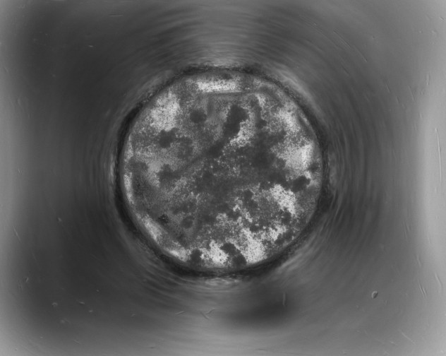 X0000088030542200706081503