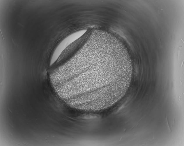 X0000088030545200706081503