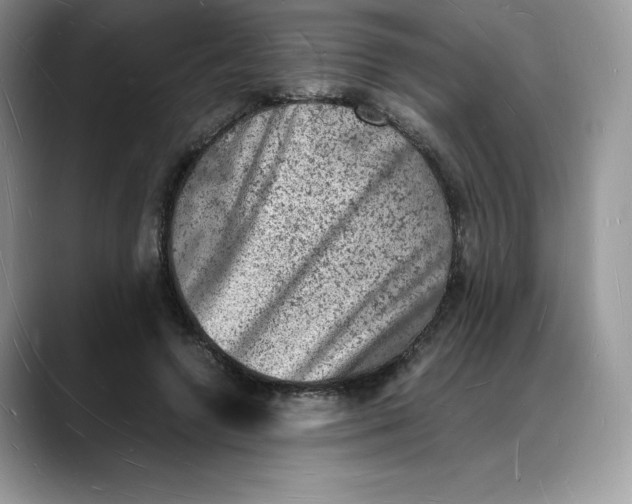 X0000088030546200706081503