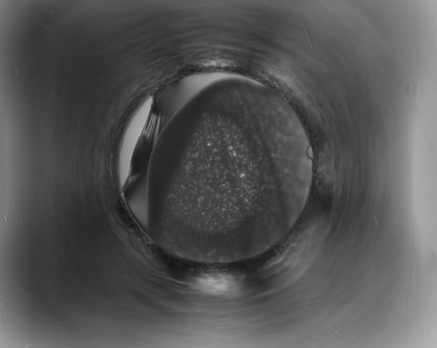 X0000088030547200706081503