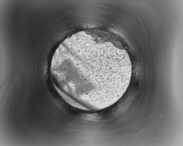 X0000088030548200706081503