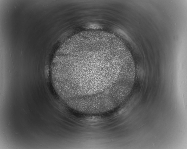 X0000088030549200706081503