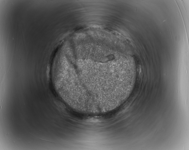 X0000088030550200706081503