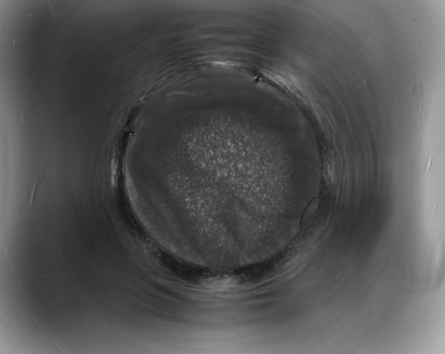 X0000088030551200706081503