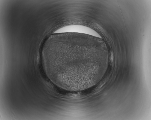 X0000088030552200706081503