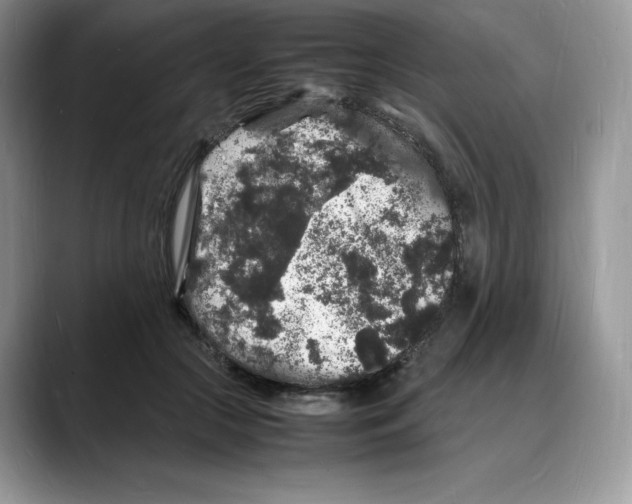 X0000088030553200706081503