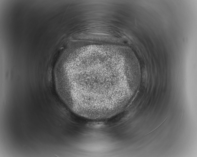 X0000088030554200706081503