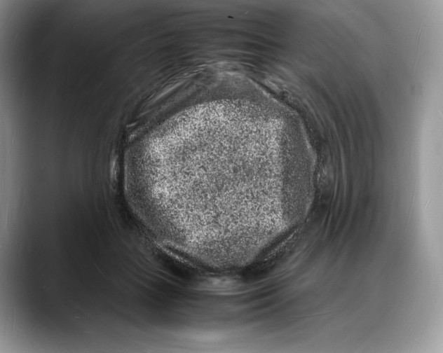 X0000088030555200706081503