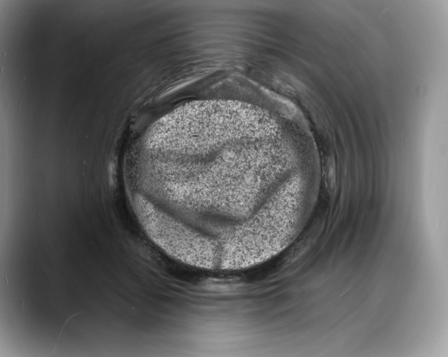 X0000088030556200706081503