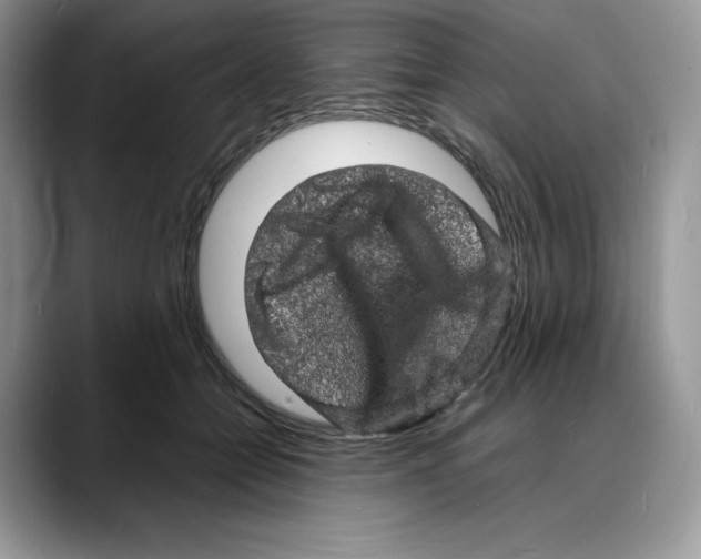X0000088030558200706081504