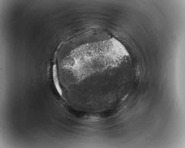 X0000088030559200706081504