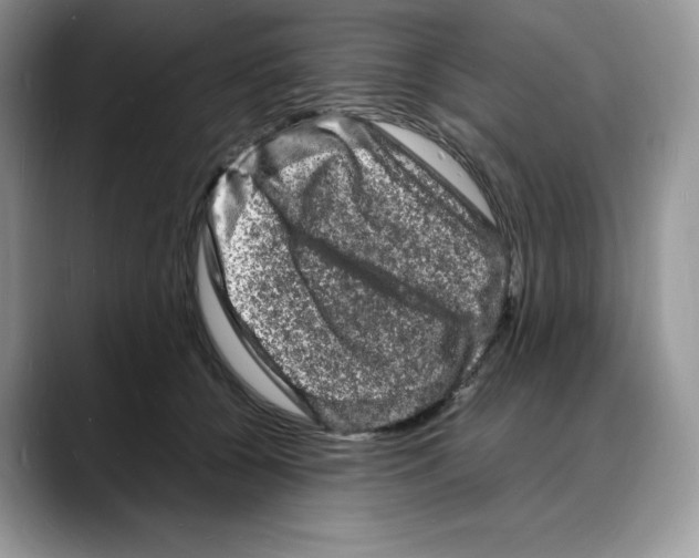 X0000088030560200706081504