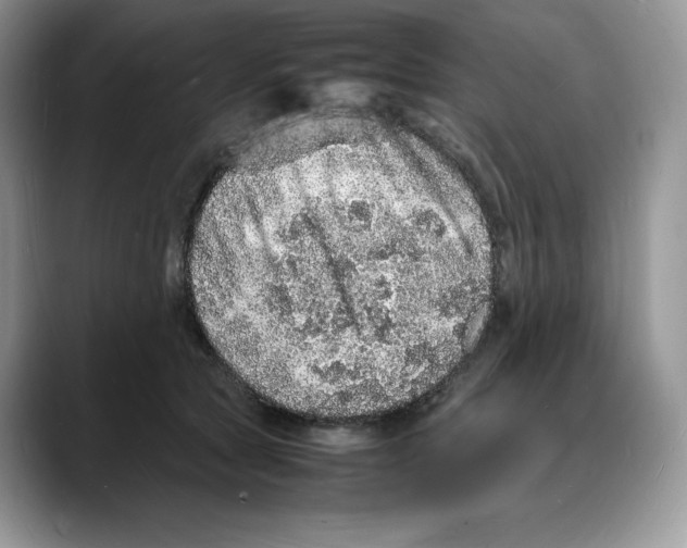X0000088030561200706081504