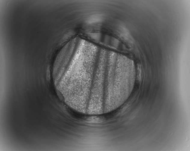 X0000088030562200706081504
