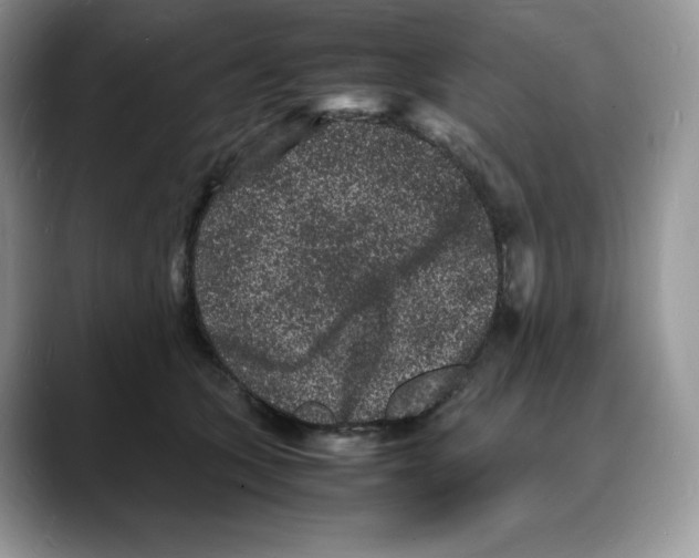 X0000088030563200706081504
