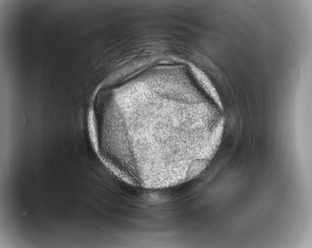 X0000088030565200706081504