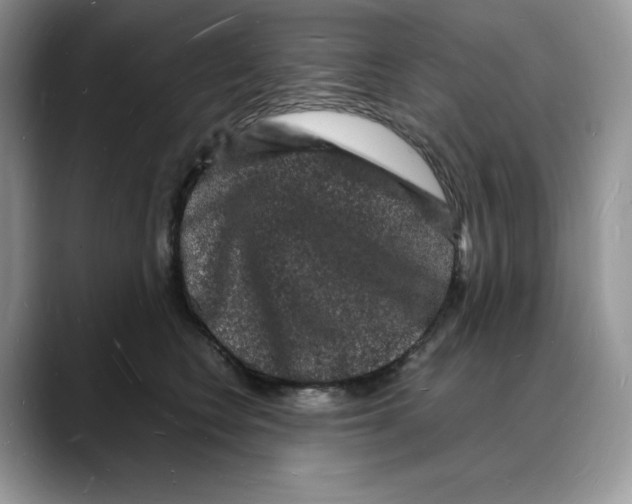 X0000088030566200706081504