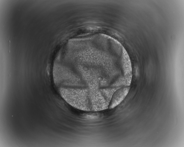 X0000088030567200706081504