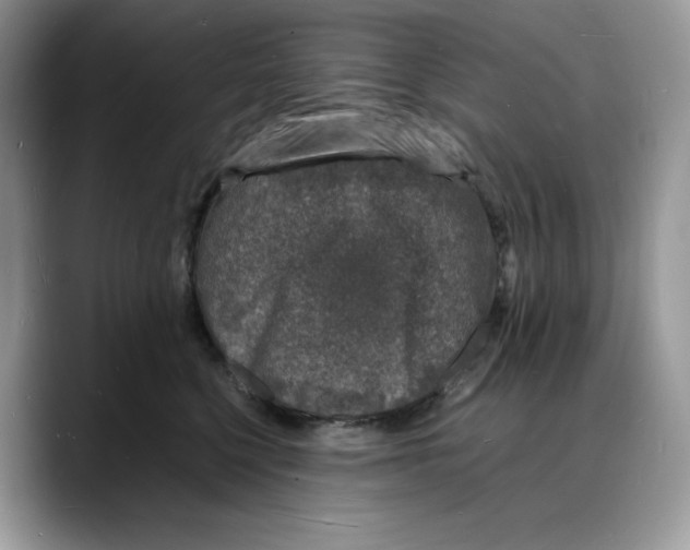 X0000088030568200706081504