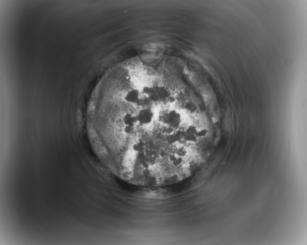 X0000088030569200706081504