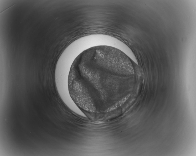 X0000088030570200706081504