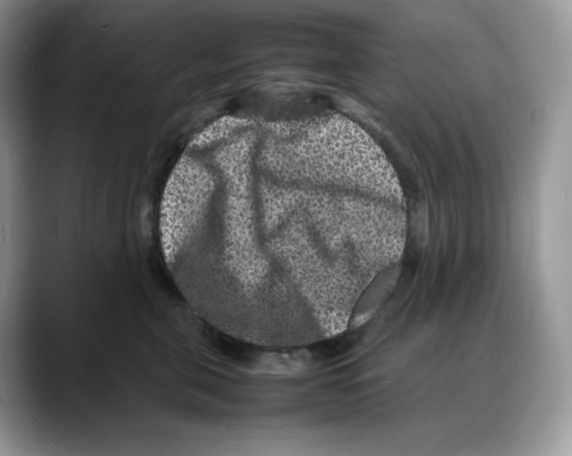 X0000088030571200706081504