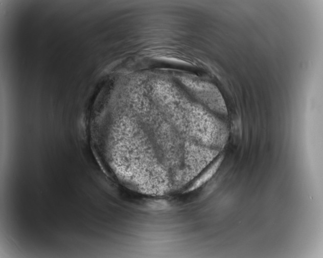 X0000088030572200706081504