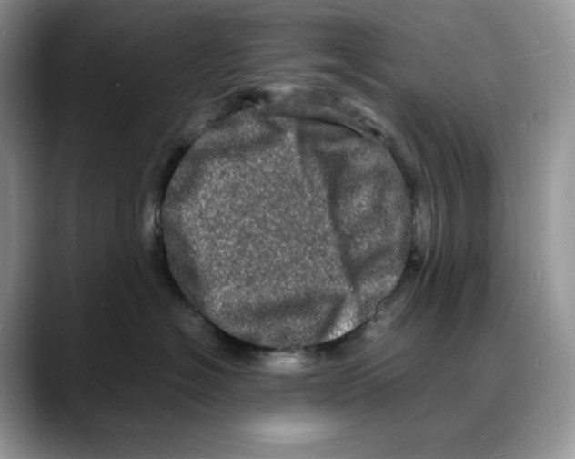 X0000088030574200706081504