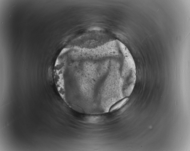 X0000088030575200706081504