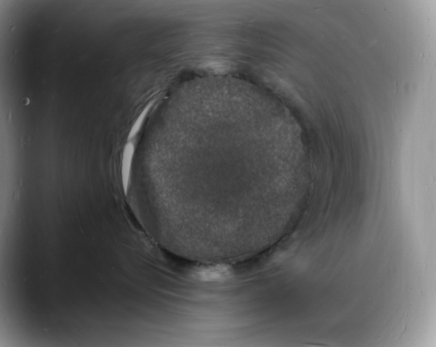 X0000088030576200706081504