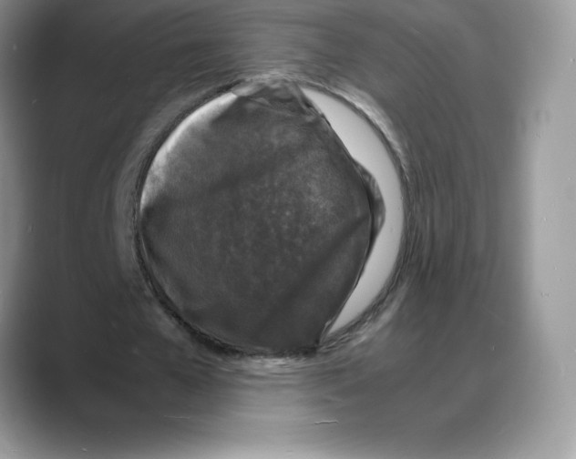 X0000088030577200706081503