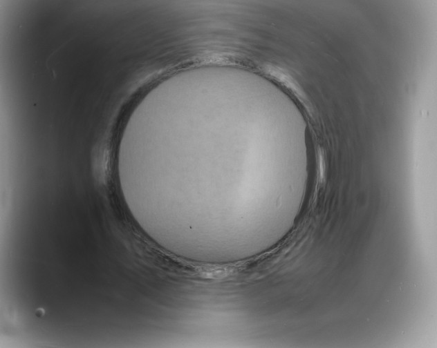 X0000088030579200706081503