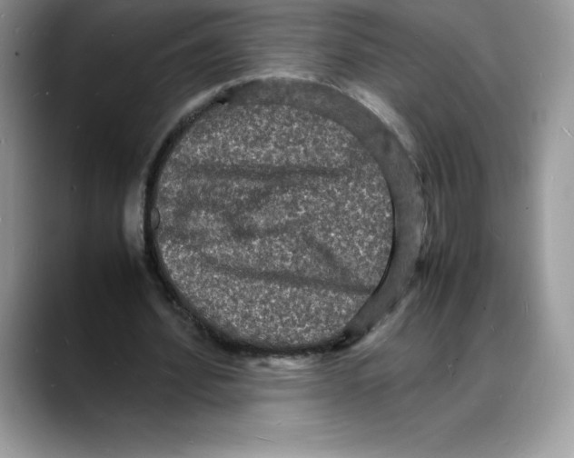 X0000088030580200706081503