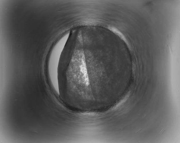 X0000088030581200706081503