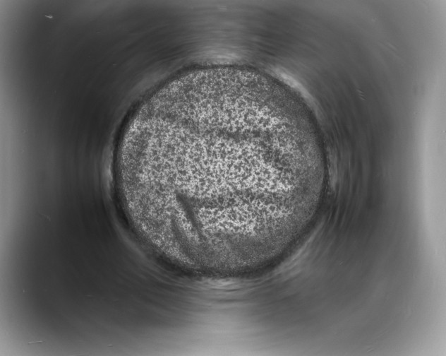 X0000088030582200706081503