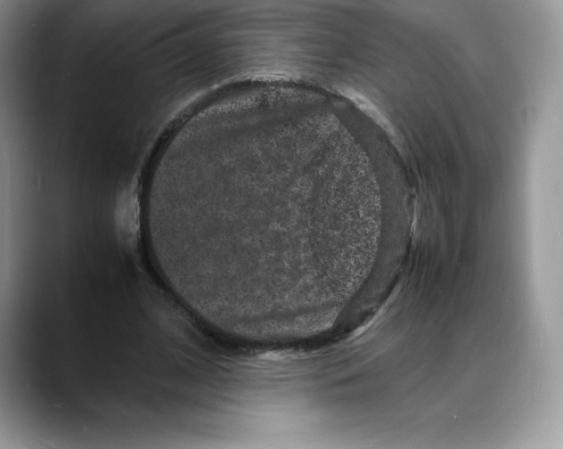 X0000088030584200706081503