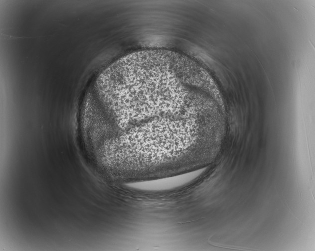 X0000088030586200706081503