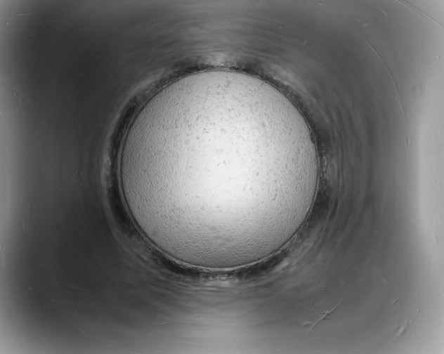 X0000088030587200706081503