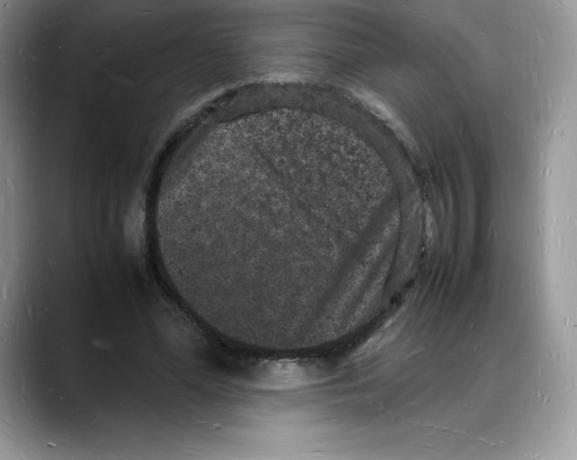 X0000088030588200706081503