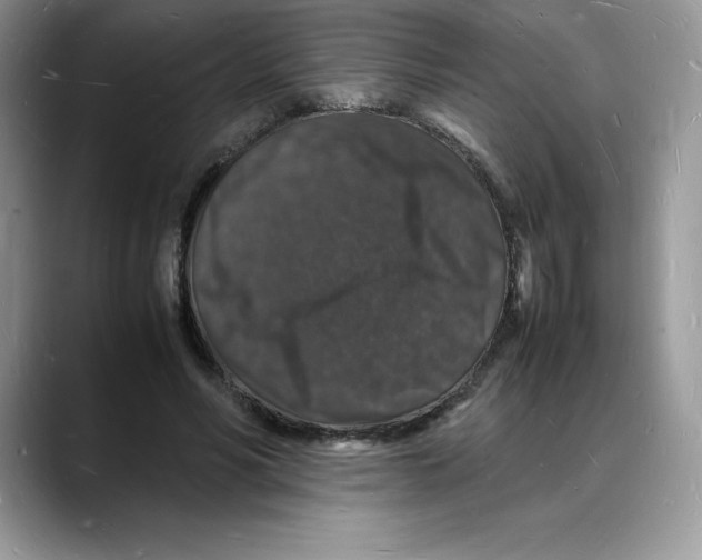 X0000088030590200706081503