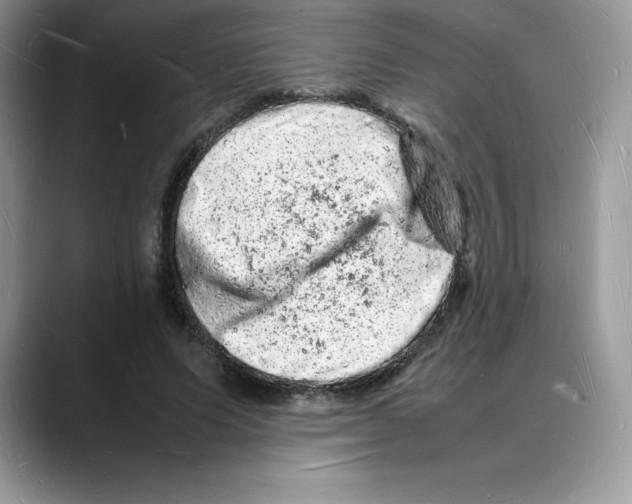 X0000088030591200706081503