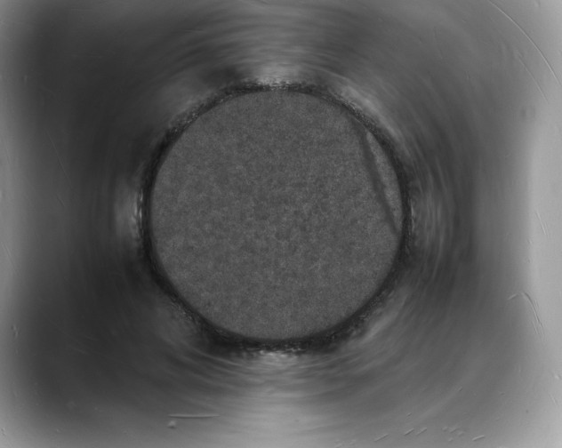 X0000088030592200706081503