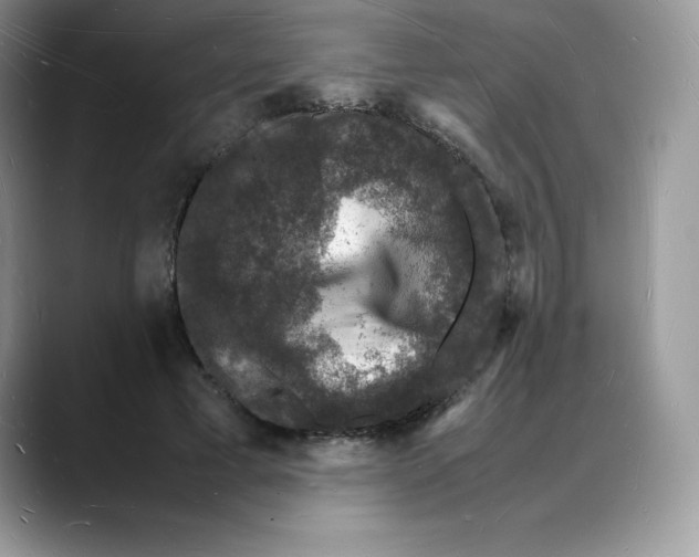 X0000088030593200706081503
