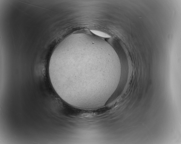 X0000088030595200706081503