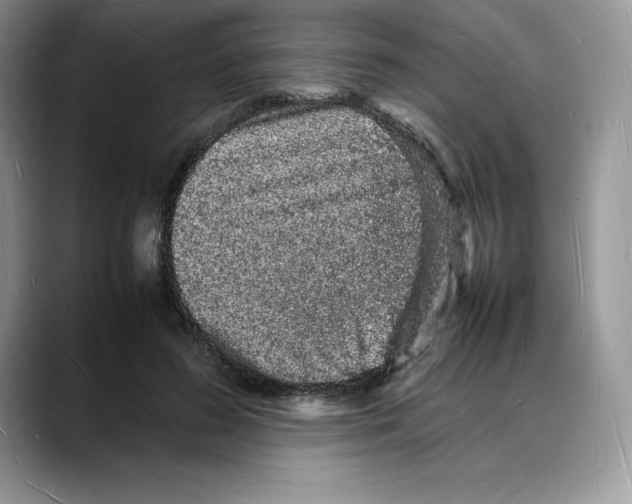 X0000088030596200706081503