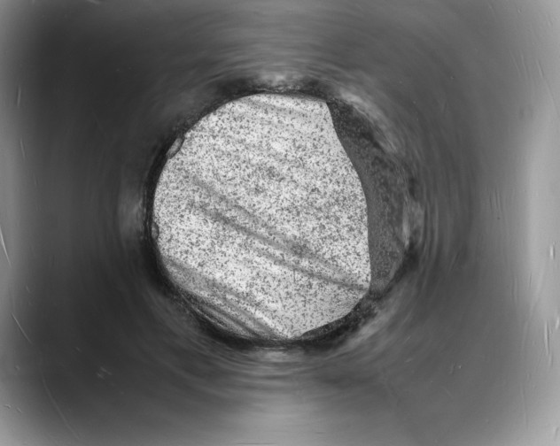 X0000088030597200706081503