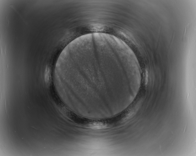 X0000088030598200706081503