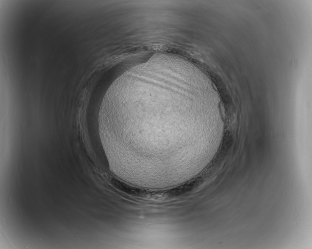 X0000088030599200706081503