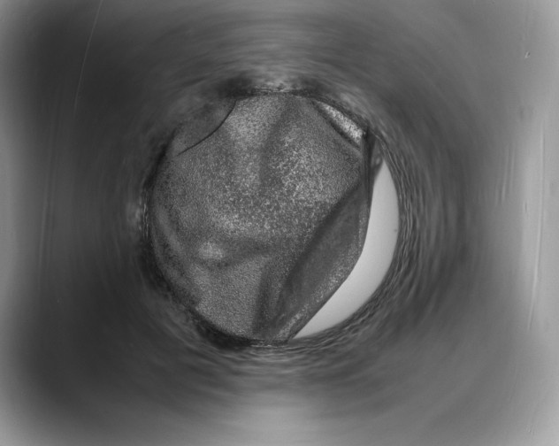X0000088030601200706081503